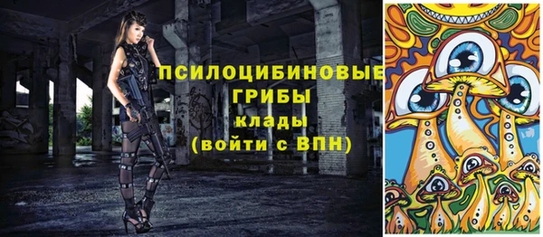 тгк Арсеньев