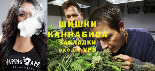 гидра Армянск