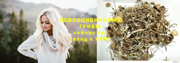 тгк Арсеньев