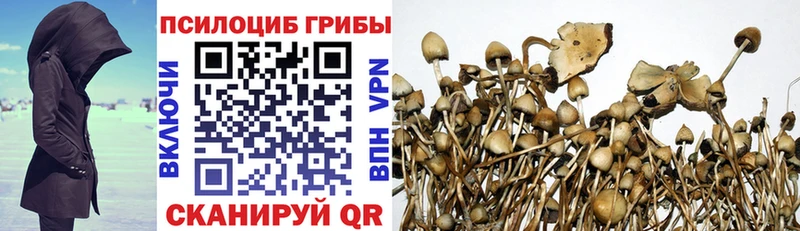OMG ССЫЛКА  купить   Дедовск  Псилоцибиновые грибы ЛСД 